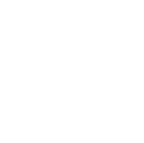EV