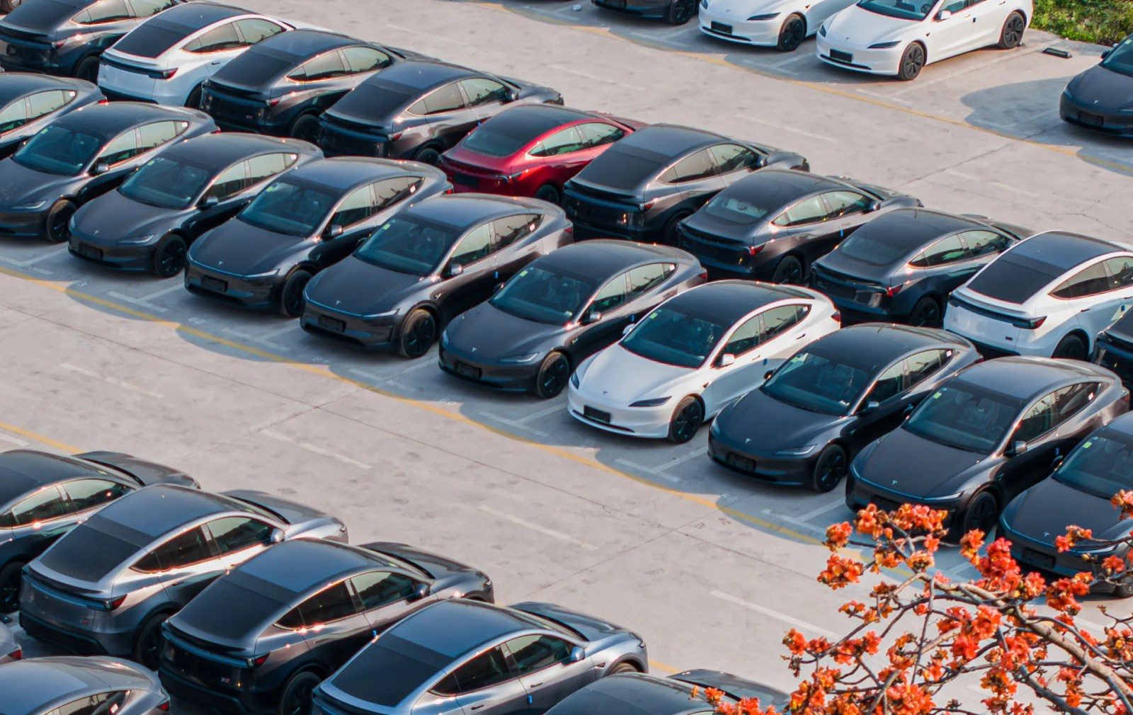 Tesla vehicles in China