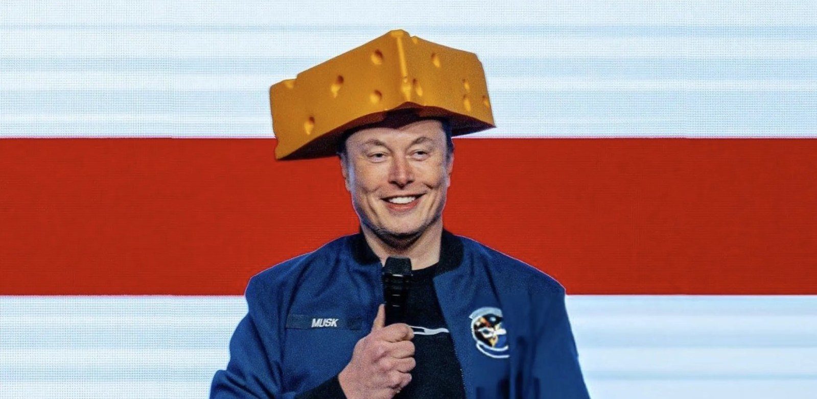 Tesla CEO Elon Musk