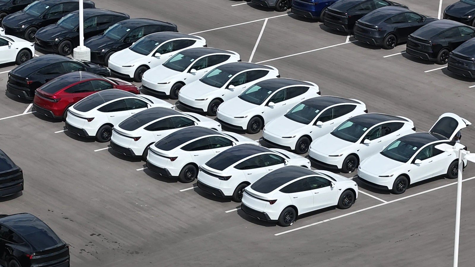 Tesla Model Y Standard