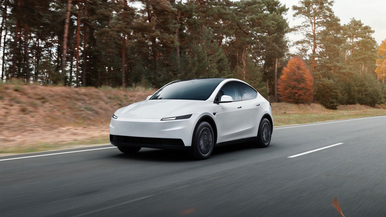 Tesla Model Y Standard in the US