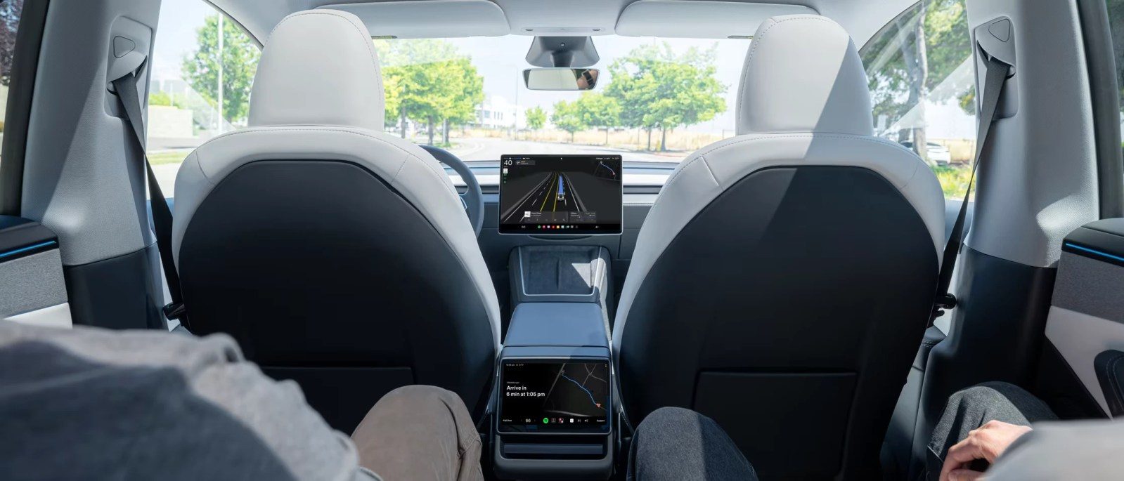 Tesla Robotaxi