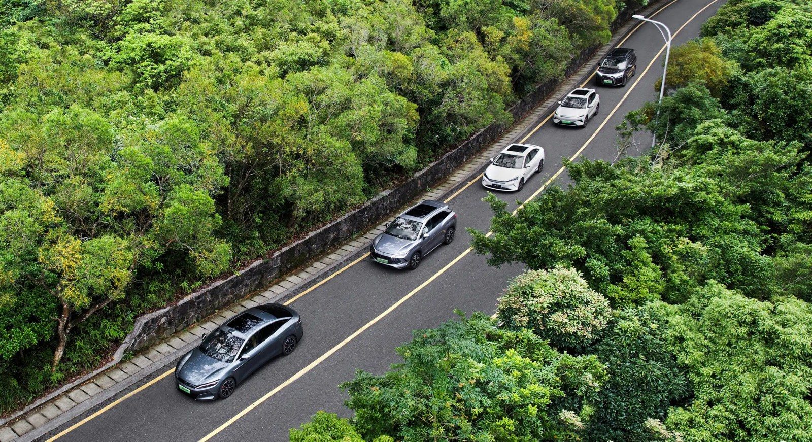 BYD Portfolio