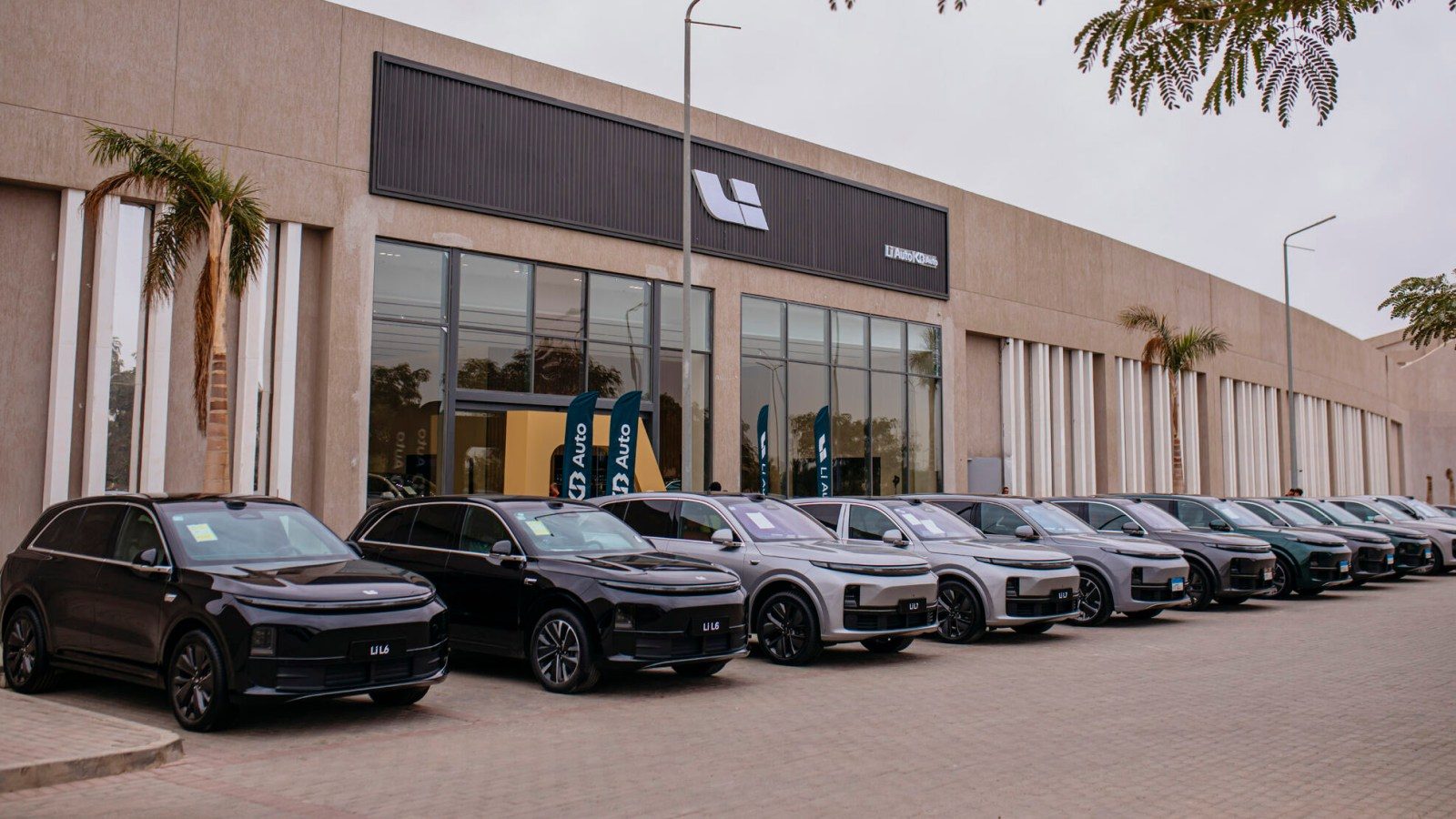 Li Auto Stores in Egypt