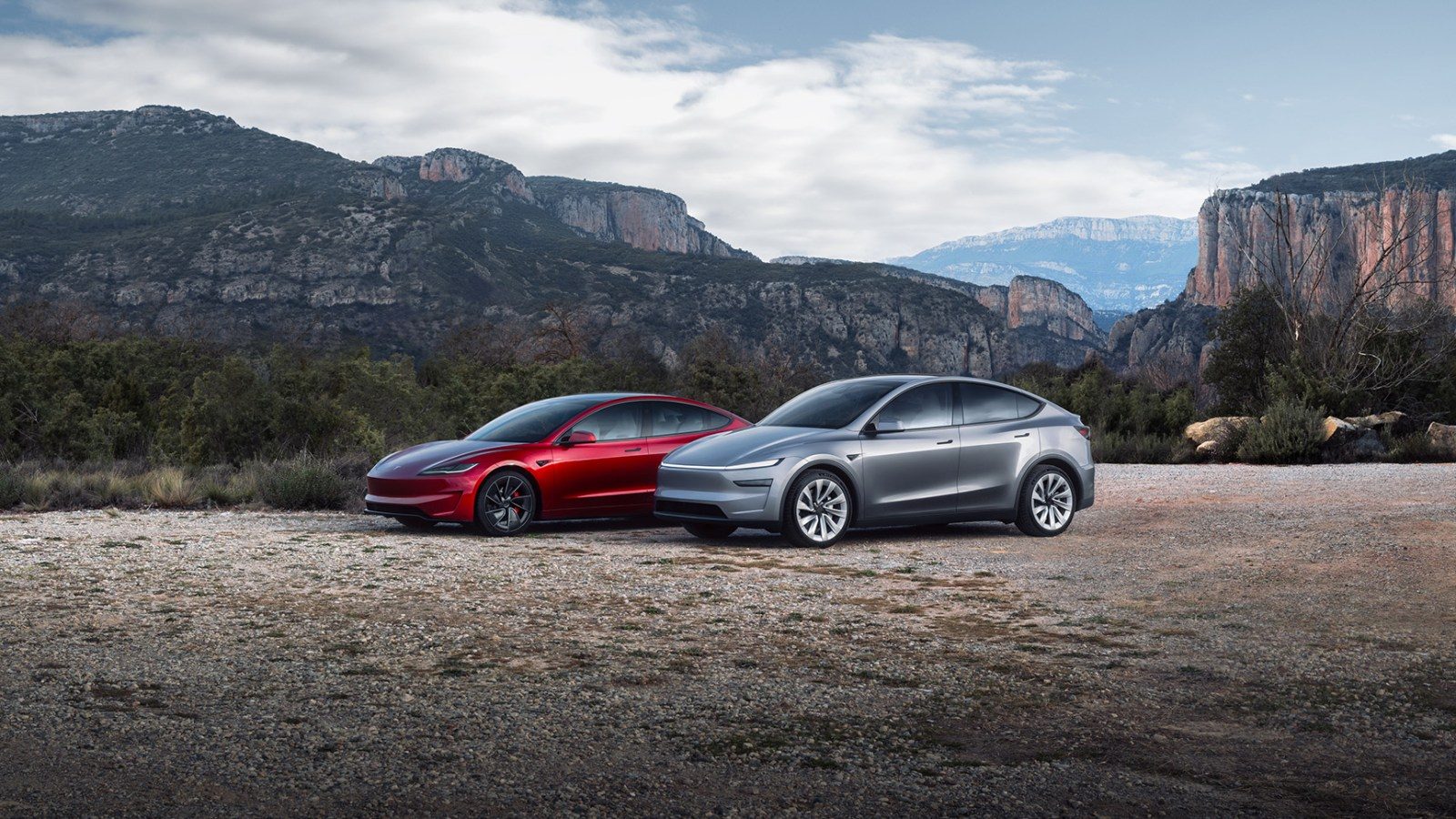 Tesla Model 3 and Model Y
