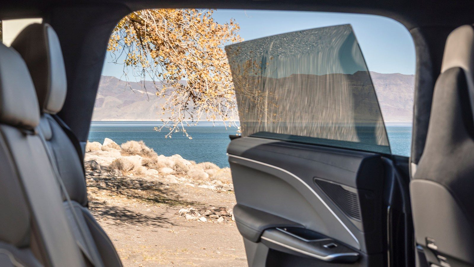 Lucid Gravity Interior