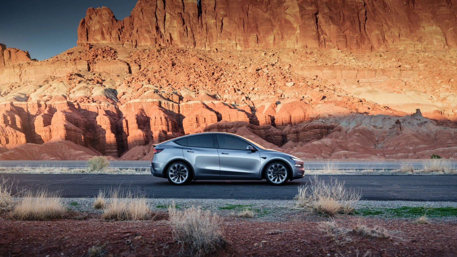 Tesla Premium Model Y