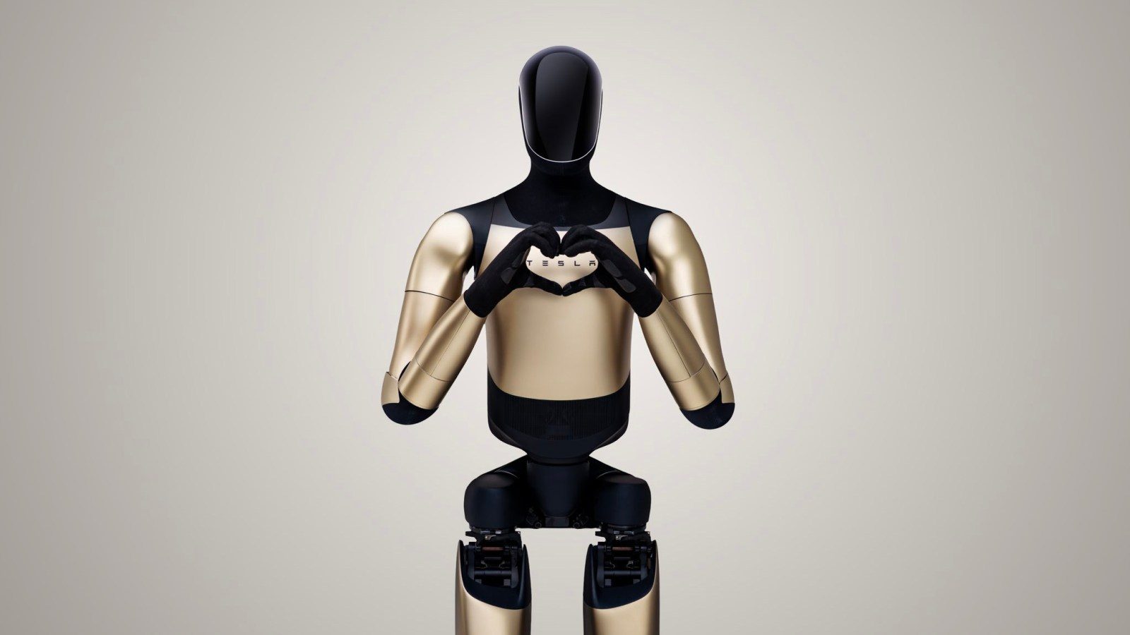Tesla's Optimus Humanoid Robot