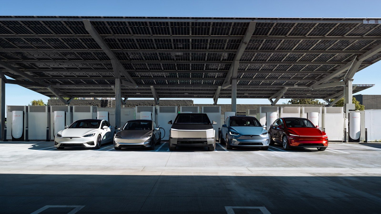 Tesla Portfolio