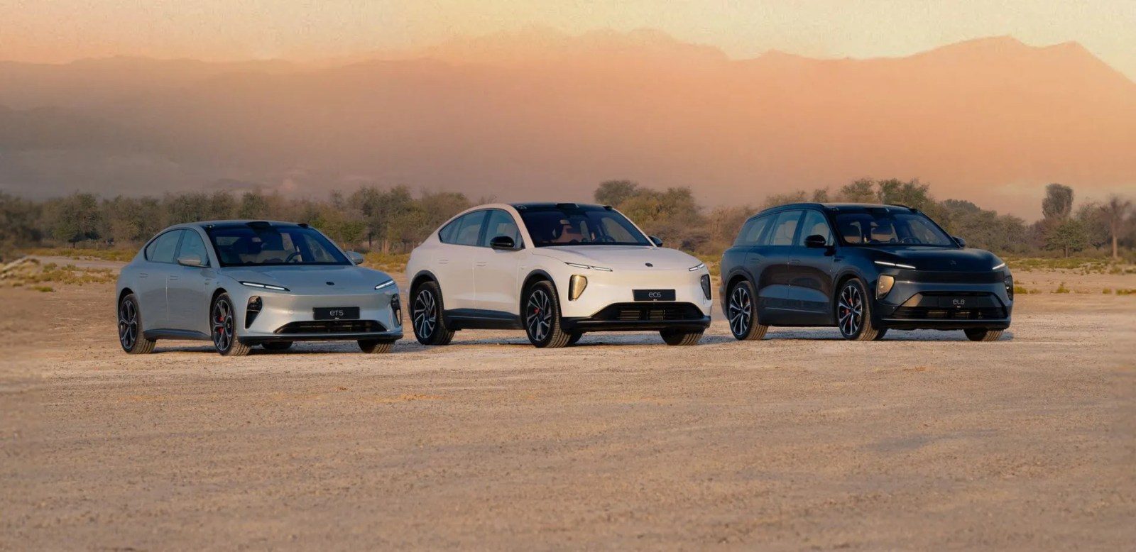 Nio's portfolio in the Middle East