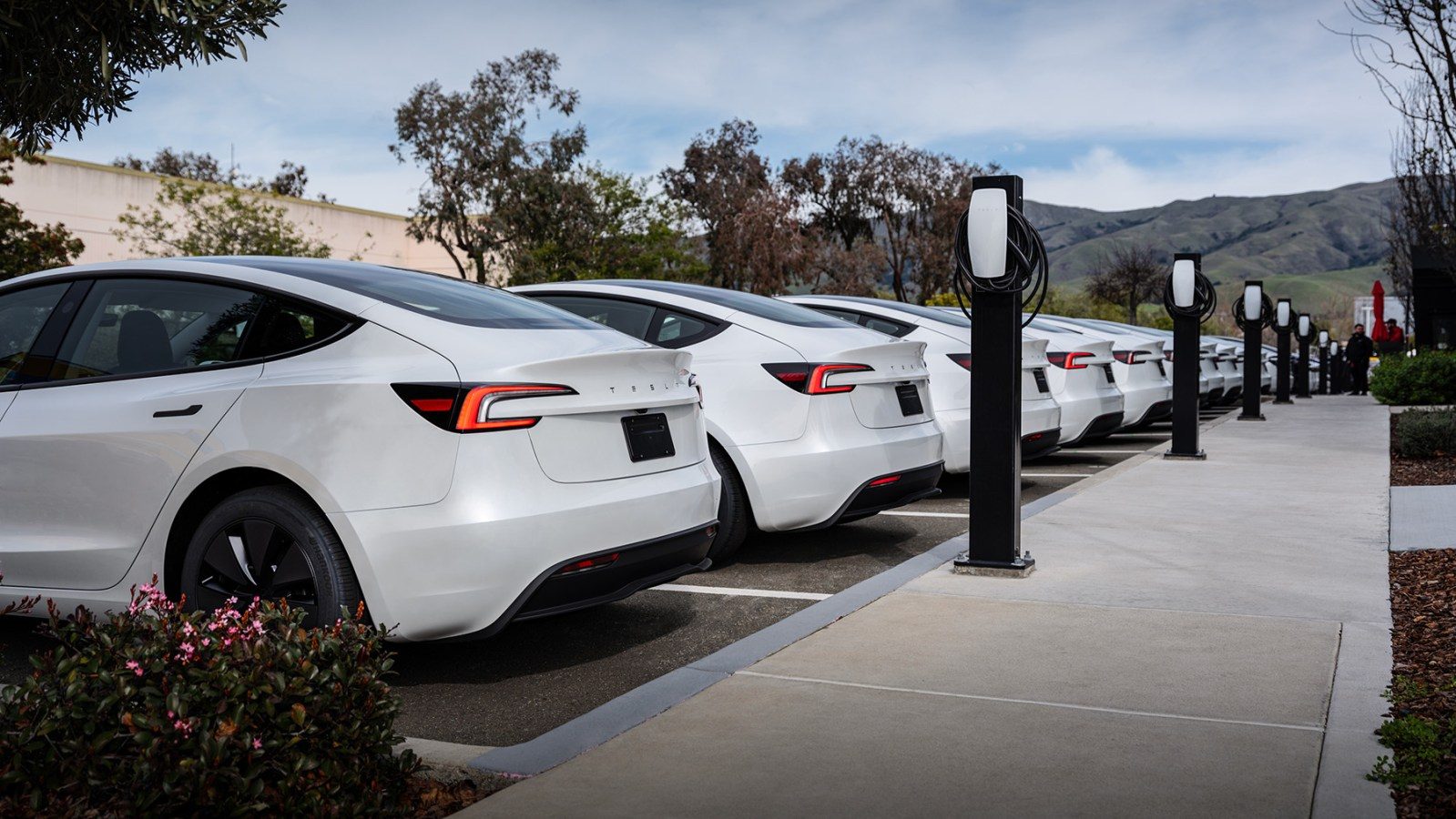 Tesla Model 3 in Canada