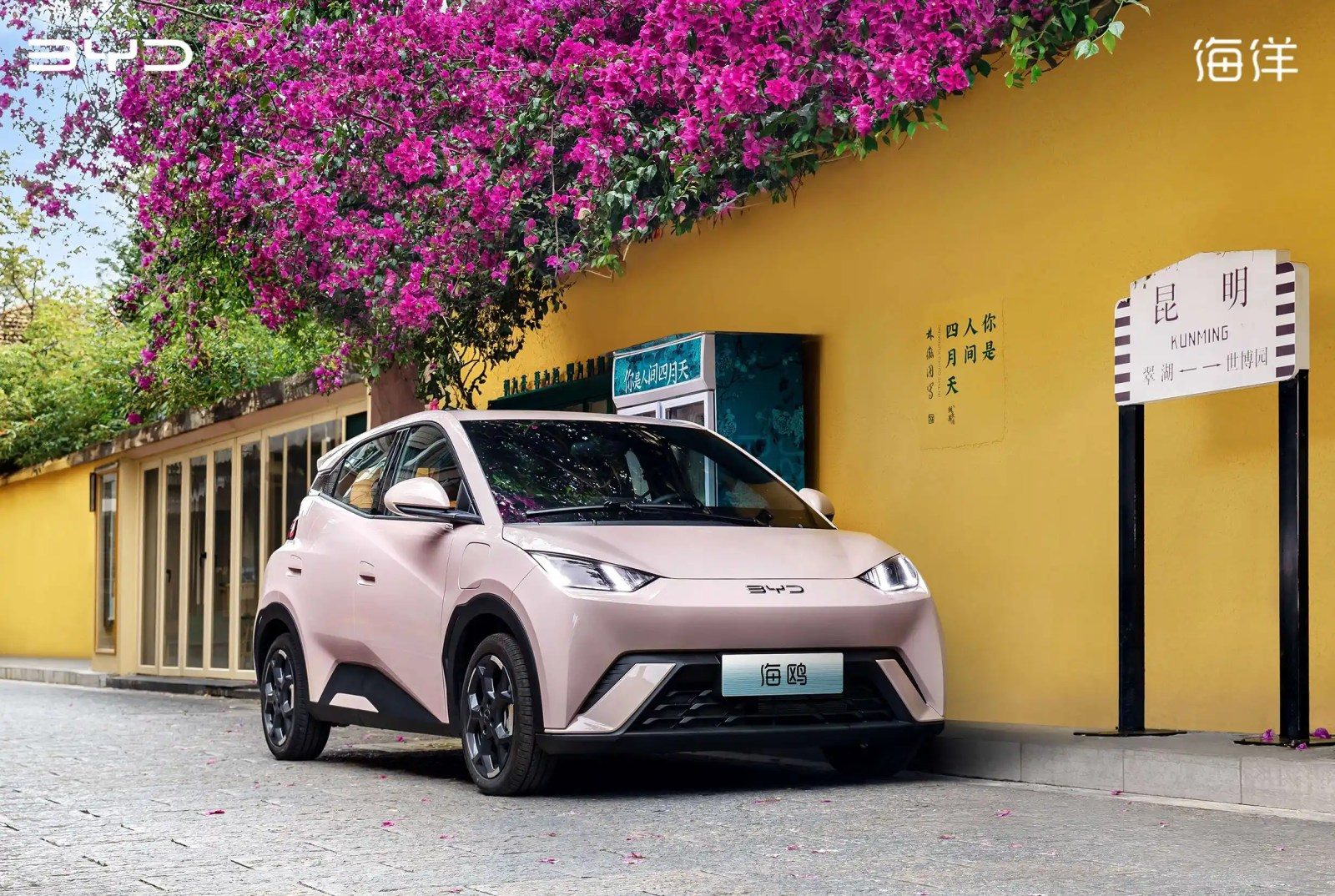BYD Seagull in China