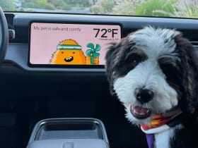 Rivian R2 Pet Mode