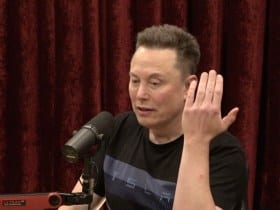 Tesla's chief executive Elon Musk
