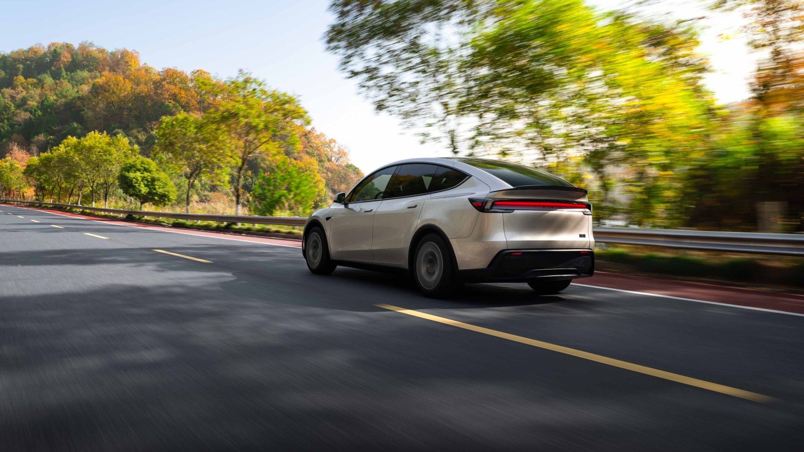 Tesla Model Y L