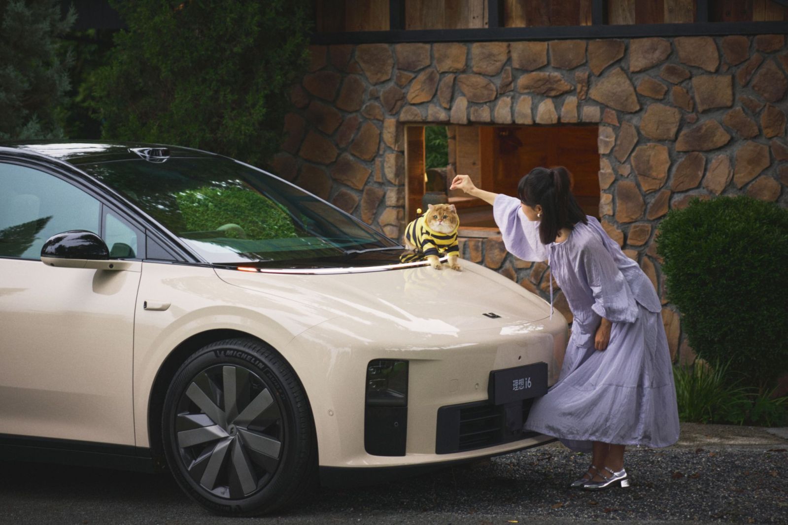 Li Auto i6