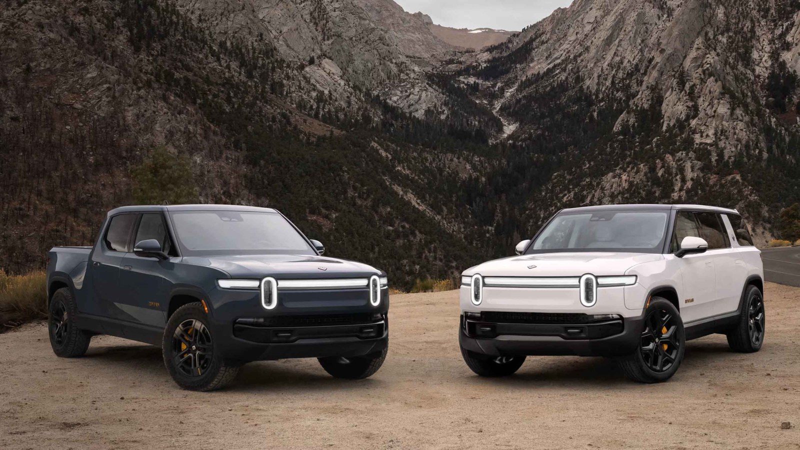 Rivian portfolio