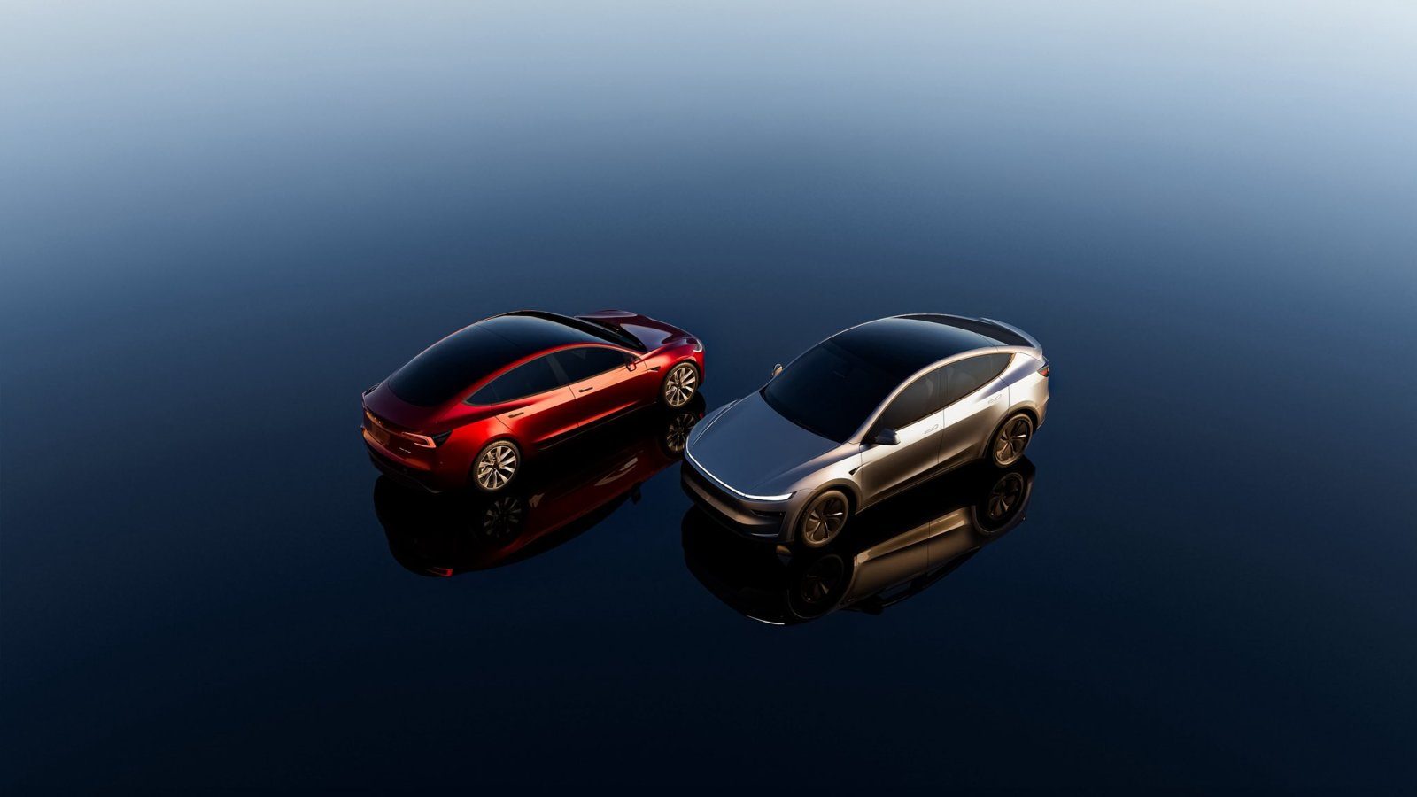 Tesla portfolio