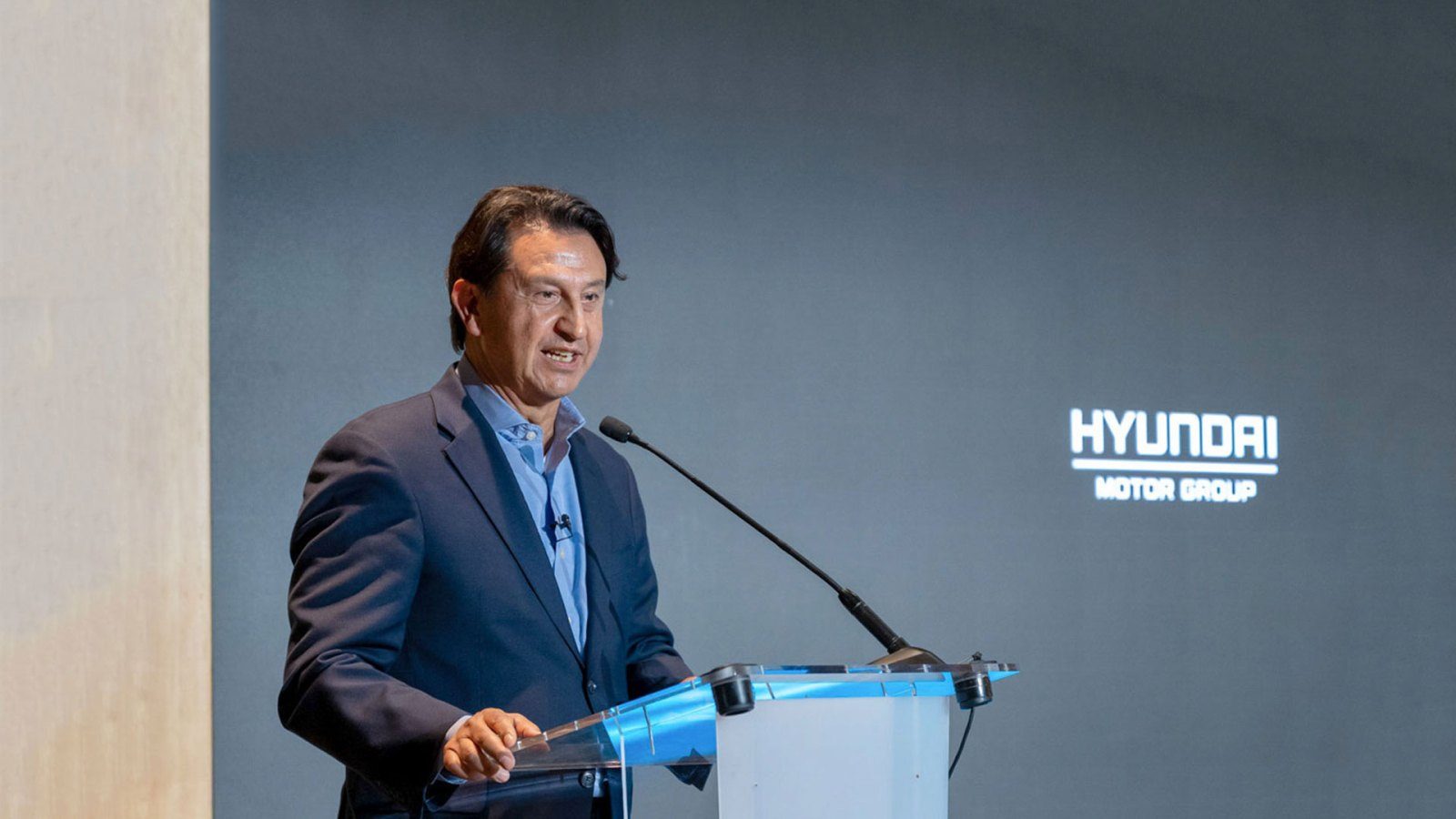 Hyundai Motor Group CEO