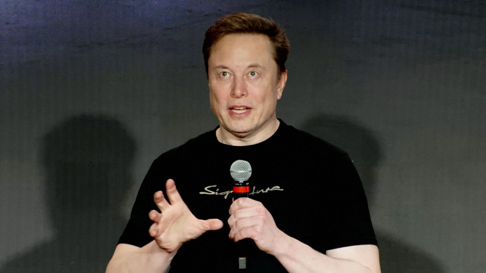Tesla CEO Elon Musk