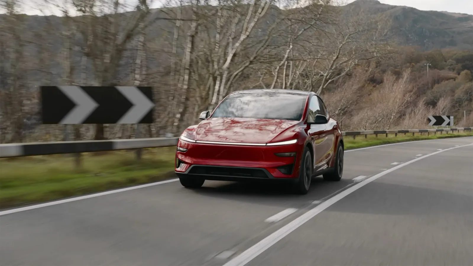 Tesla Model Y Performance