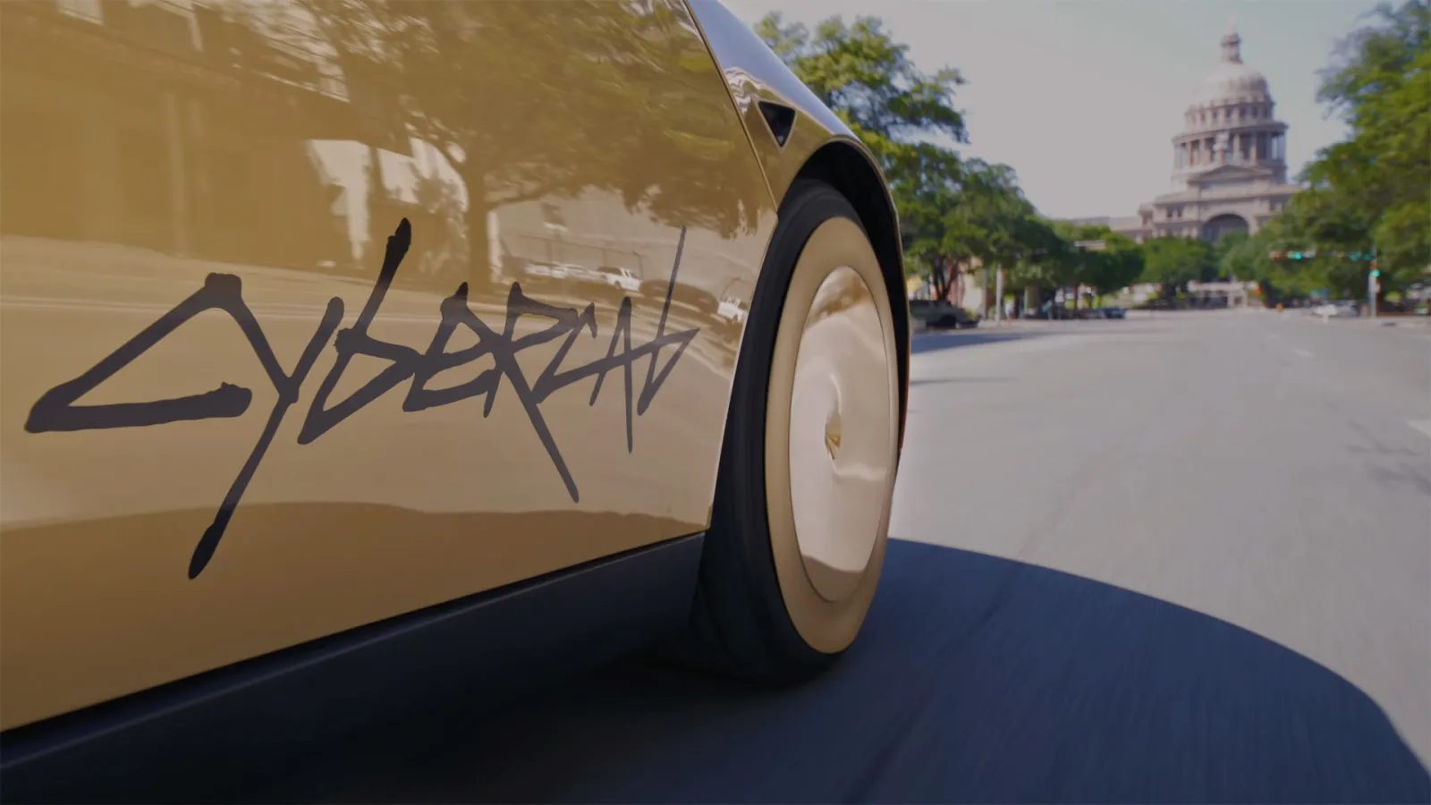 Tesla Robotaxi