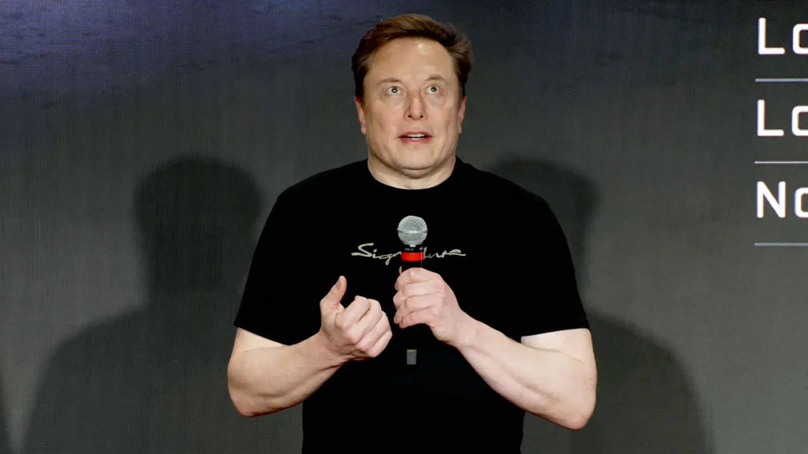 Tesla's CEO Elon Musk
