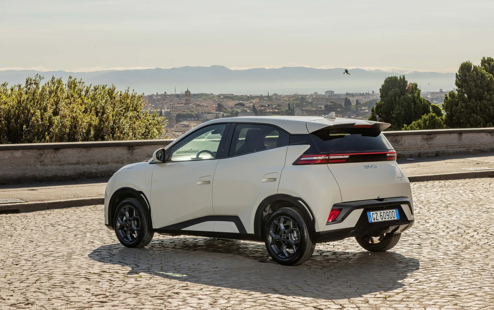 BYD Dolphin Surf in Italy