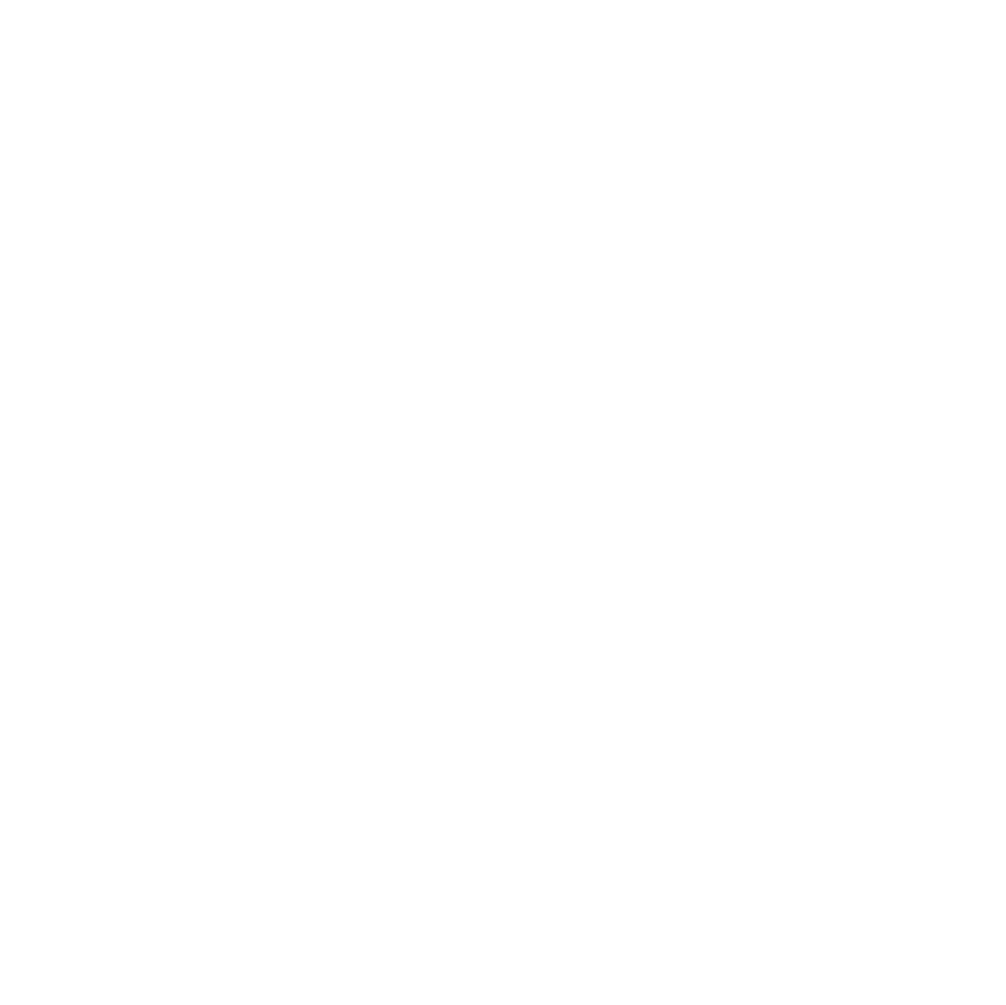 EV