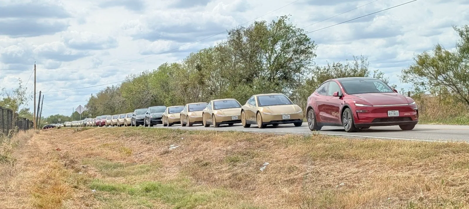 Tesla Cybercabs in Austin