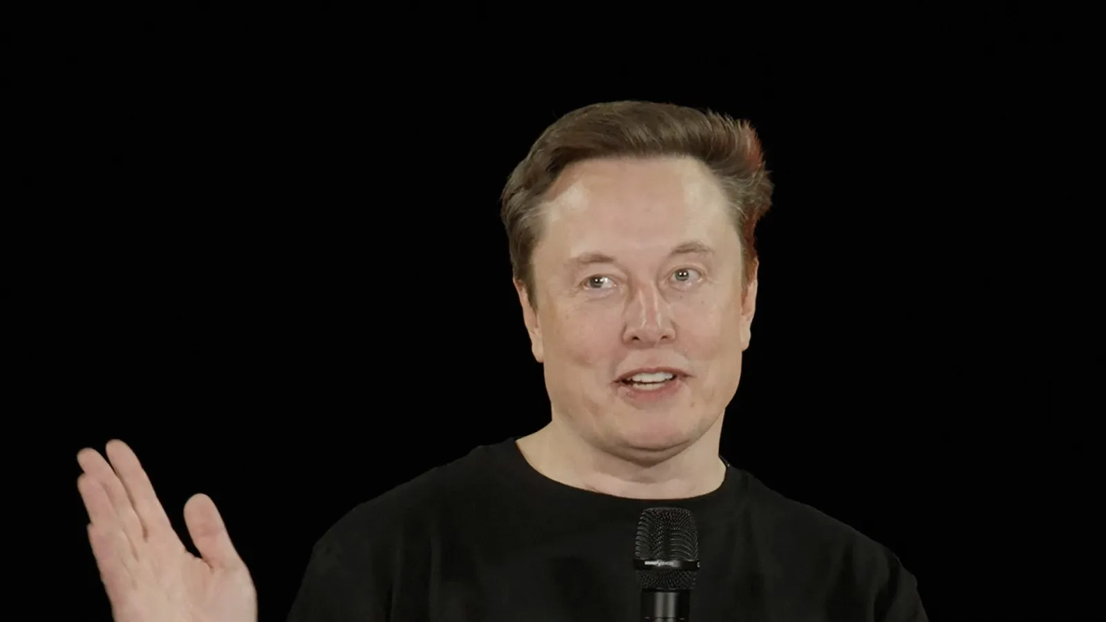 Tesla's chief Elon Musk